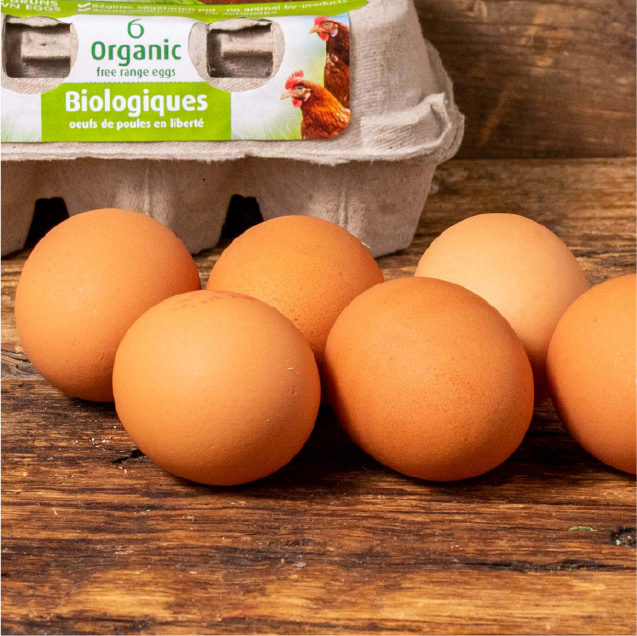 Organic / Free-range Eggs