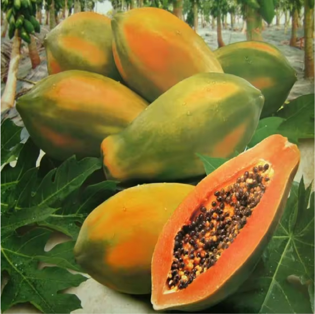 Papayas