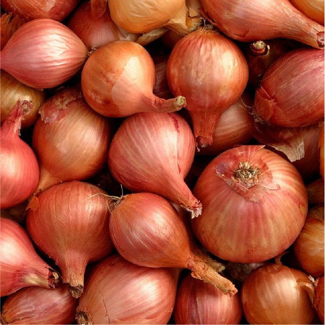 Onions