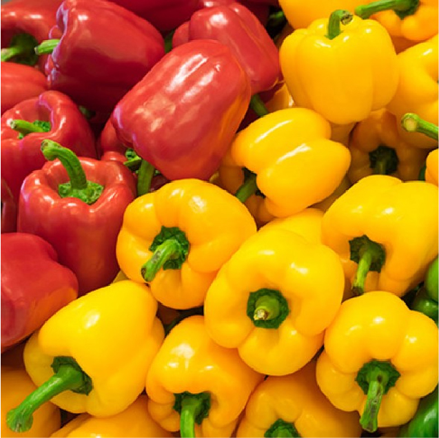 Bell Peppers