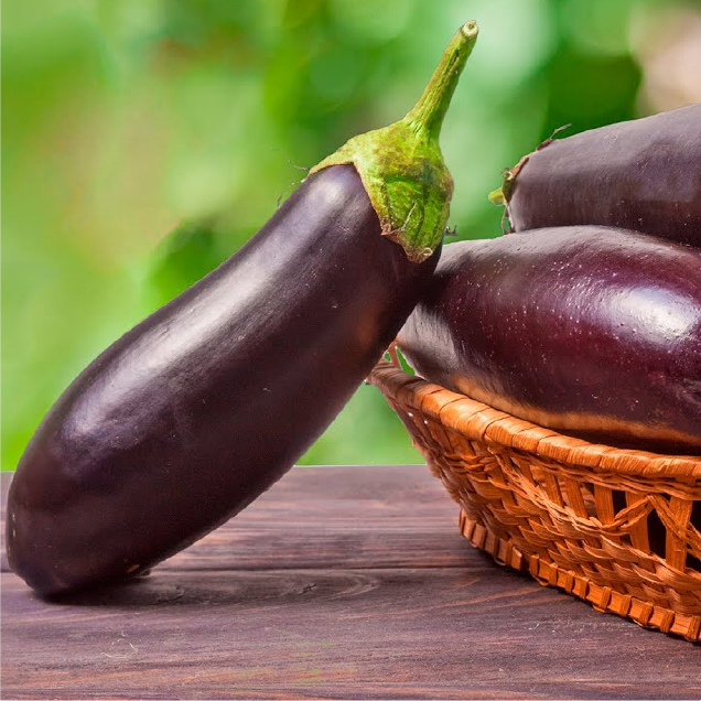Eggplants / Brinjals
