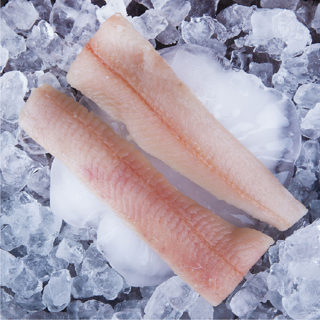 Frozen Fish Fillets