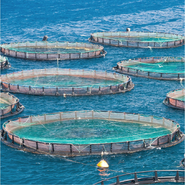 Raw Fish & Aquaculture Items